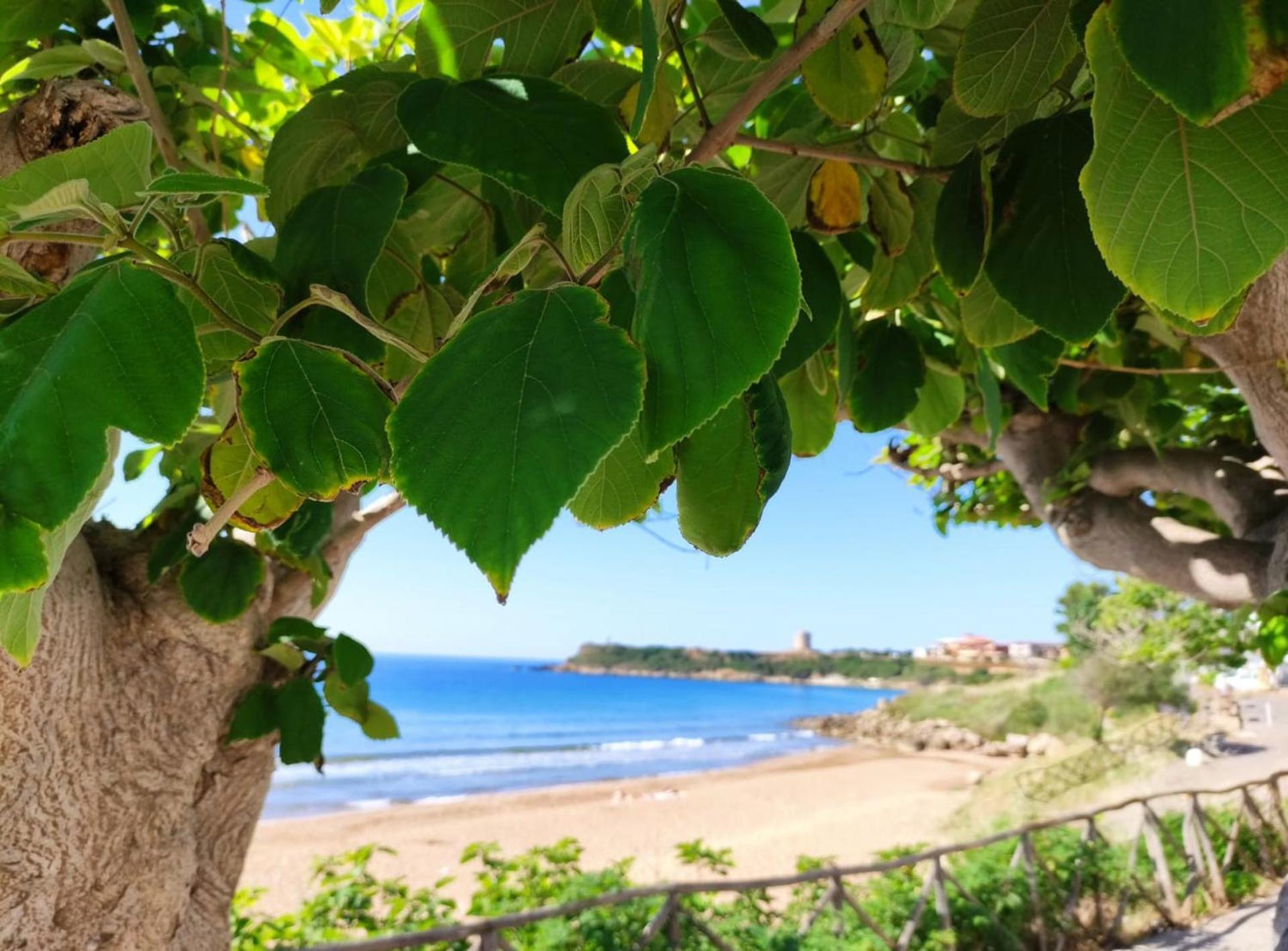 Appartamento In Villa Direttamente Sul Mare-Villa Rubino Capo Rizzuto Exteriör bild
